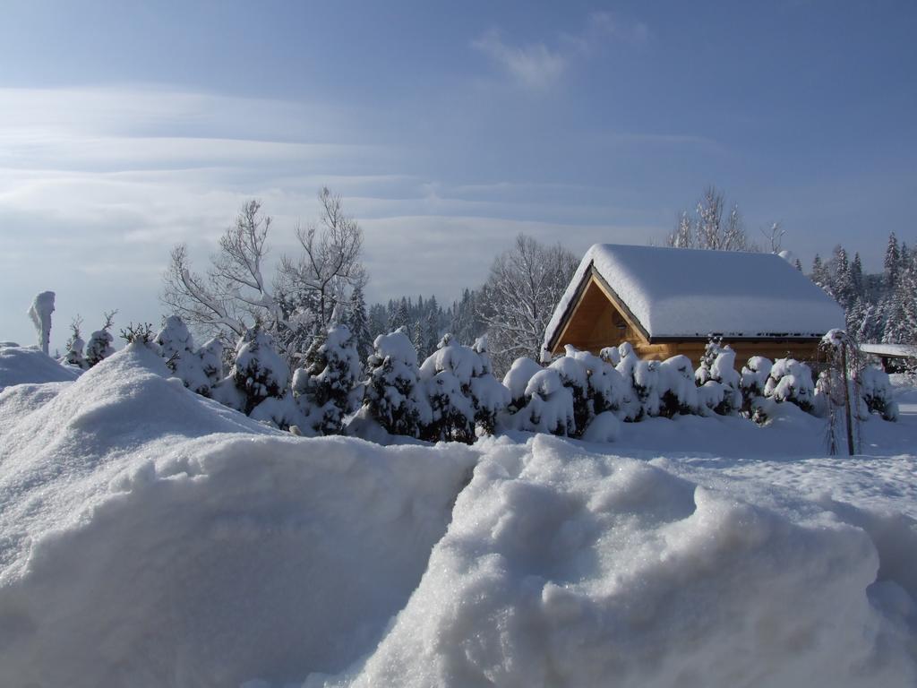 Wynajem Pokoi ,,Góry Tatry Wypoczynek Paweł Kuczyński Czarna Góra Quarto foto